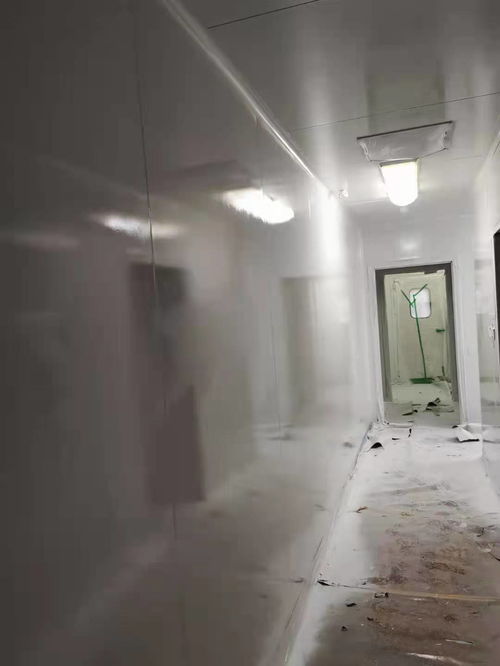 制药厂净化板喷漆翻新,食品厂净化板划痕凹痕修复翻新,净化板色差改色