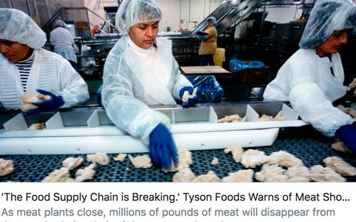 美13家肉类加工厂因感染关闭 食品供应链面临挑战